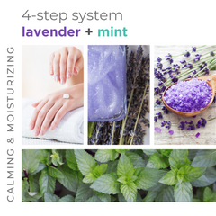 BCL Lavender + Mint 4 Step Starter Kit