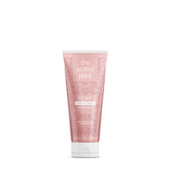 Potted Plant Plums & Cream Body Wash 3.4oz