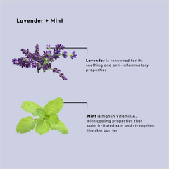 BCL Lavender + Mint 4 Step Starter Kit