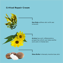 BCL Critical Repair Cream - Original Sea Kelp