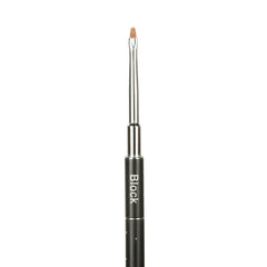 Light Elegance - Block Celina Ryden Art Brush